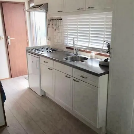 Verzorgd In De Betuwe Op Park Met Natuurbad Ferienpark